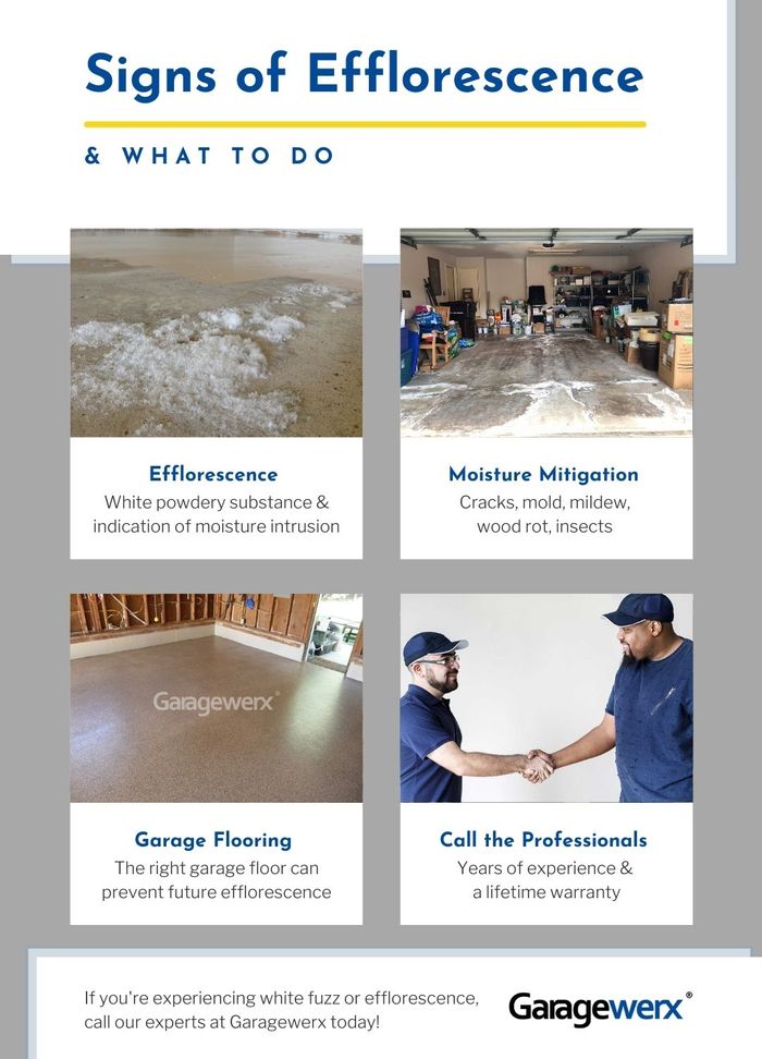 What Is the Fuzzy White Film on My Garage Floor and How to Fix It